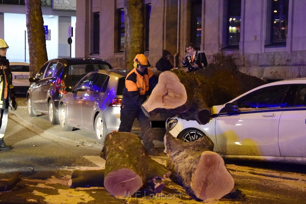 Baum auf PKWs Koeln Mitte Rheinuferstr Goldgasse P082.JPG - Miklos Laubert